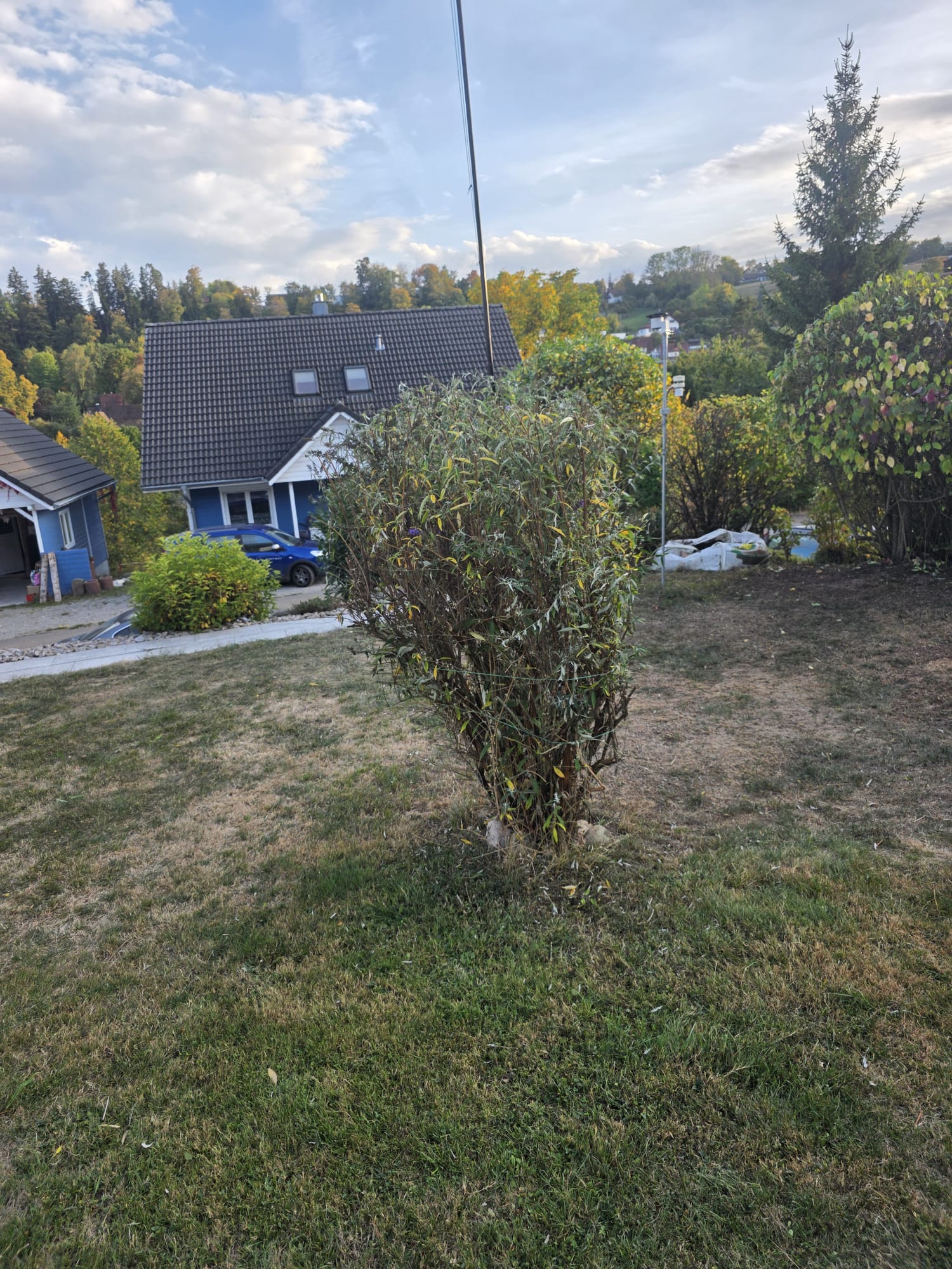 Garden photo 39